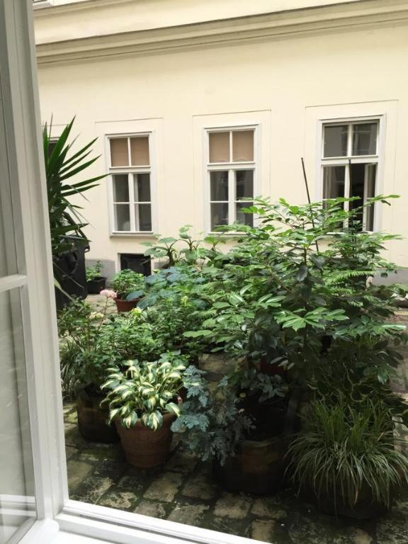 City Apartment Wien Eksteriør billede